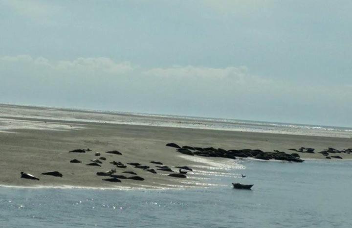Relais Vacances A La Mer 2 Berck Eksteriør billede